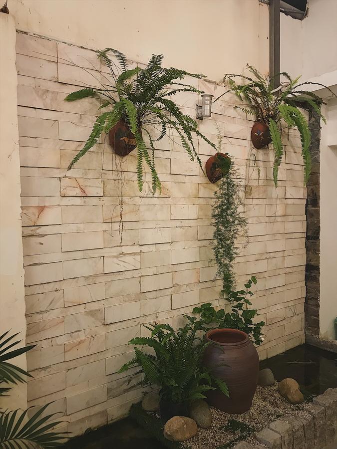 Toto Hostel Дананг Экстерьер фото
